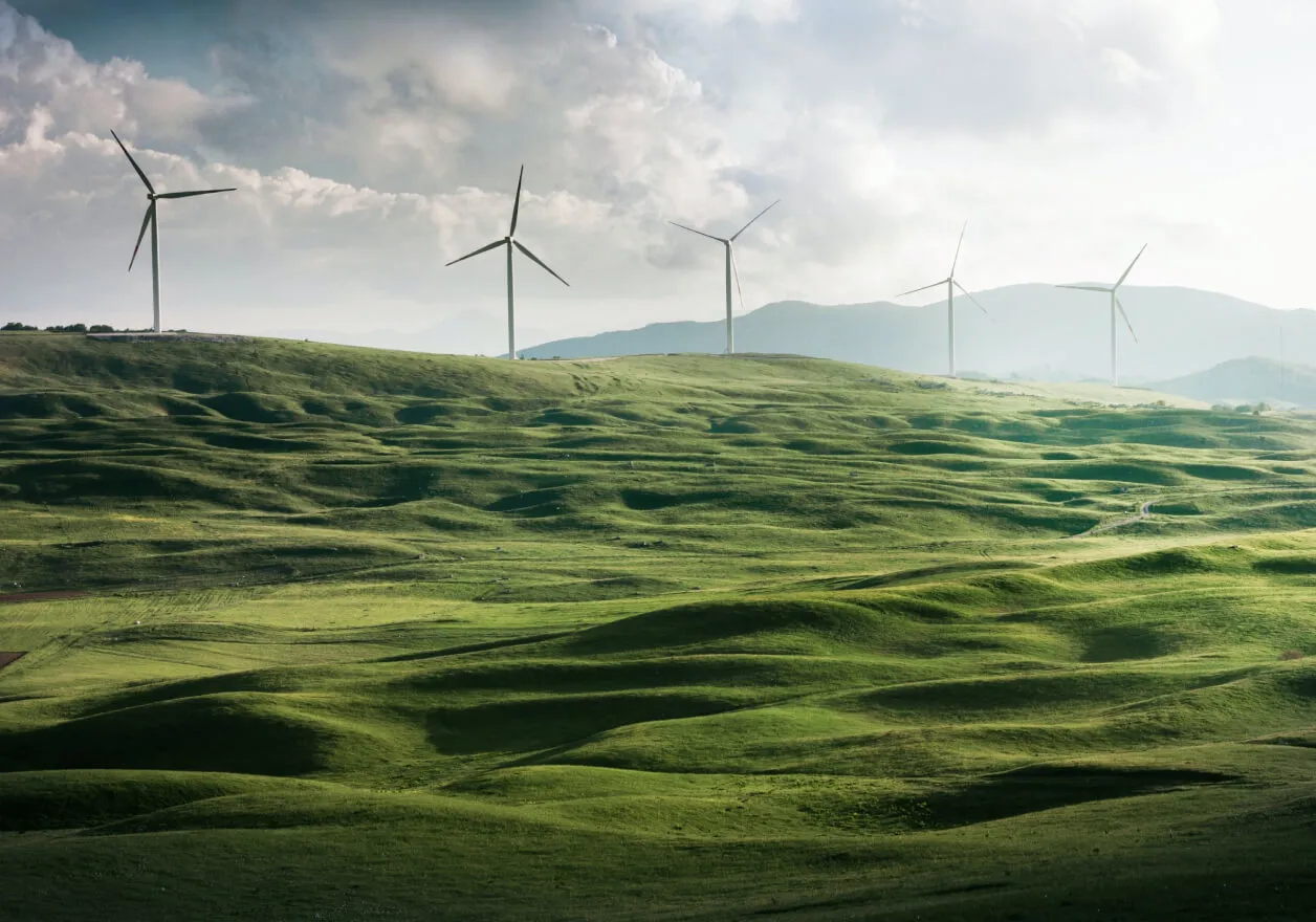 A green field with windmills 